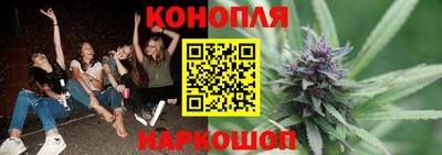 мдпв Нальчик