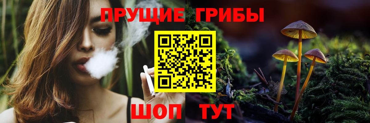 Похвистнево  Галлюциногенные грибы MAGIC MUSHROOMS  Вход с VPN  Галлюциногенные грибы мицелий 